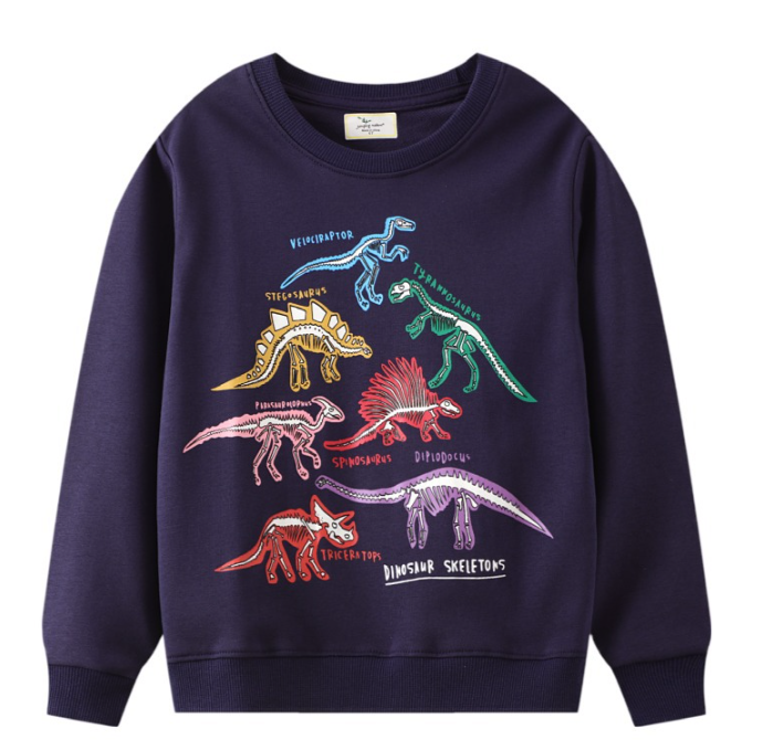 Boys Pull Over  Navy Sweater Shirt